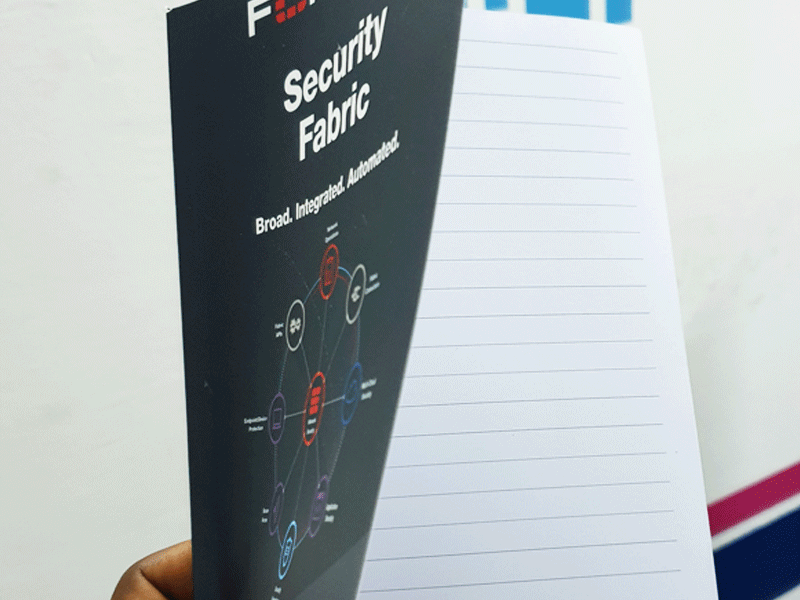 Petit & Moyen Format